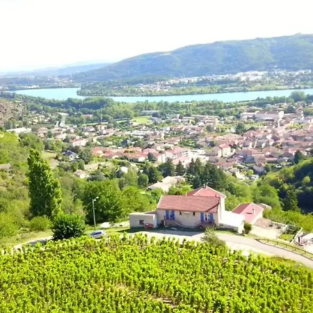 Apartment Les Vignes Ardechoises - Amandier *